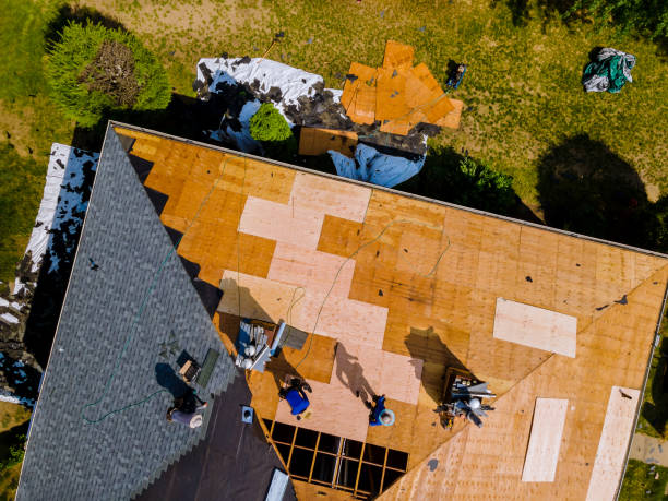 Best Flat Roof Repair Services  in Combes, TX